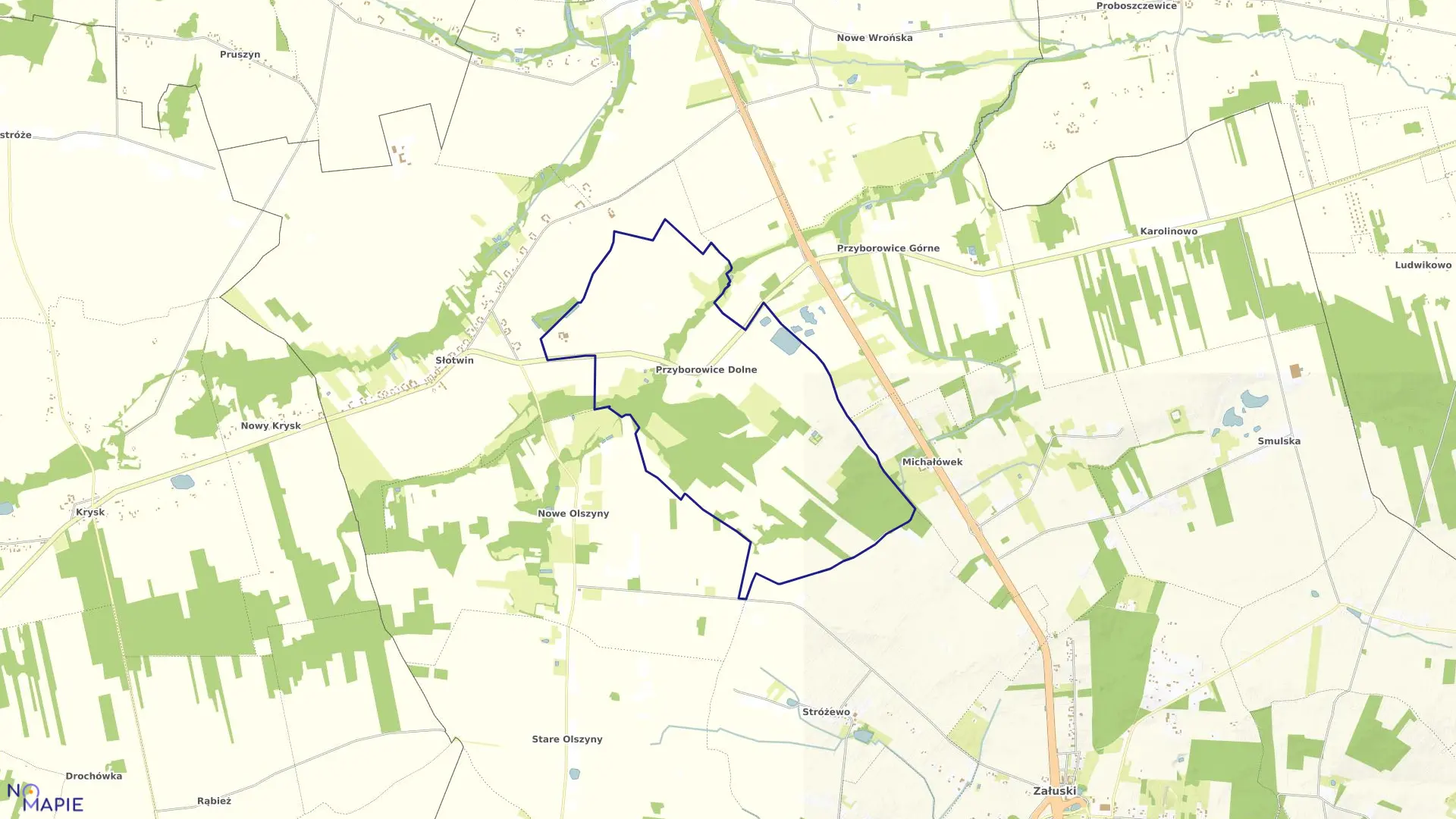 Mapa obrębu PRZYBOROWICE DOLNE w gminie Załuski